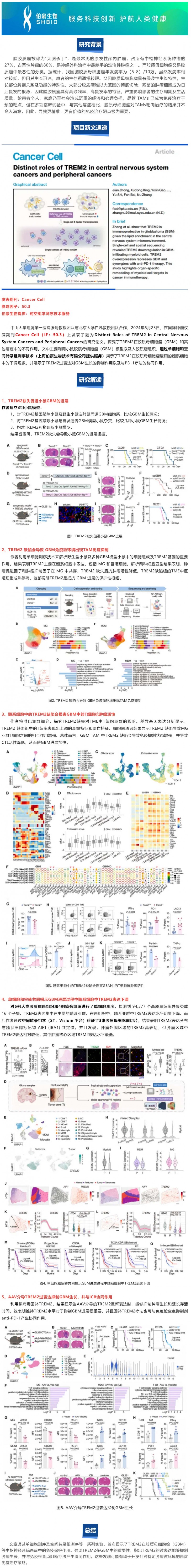 项目文章 |Cancer Cell-TREM2 在中枢神经系统癌症和外周肿瘤中的独特作用