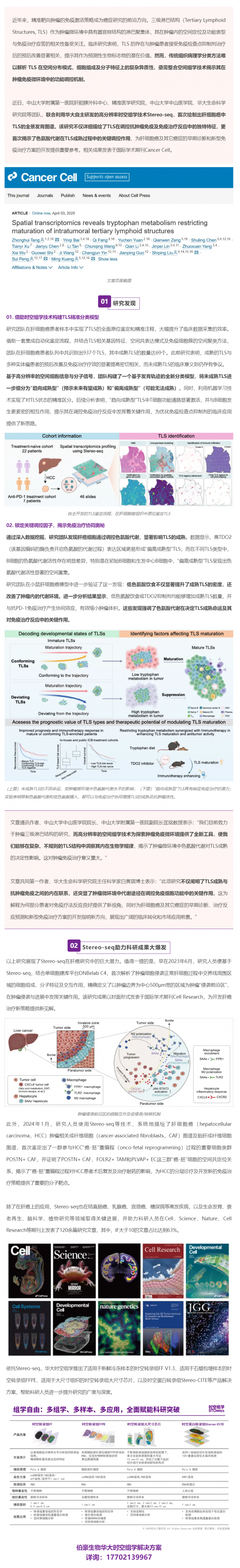 Cancer Cell _ 首个肝细胞癌中 TLS 的全景发育图谱！Stereo-seq 助力肝癌研究再获