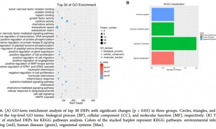 项目文章丨 Olink 蛋白质组学鉴定绝经后骨质疏松症的早期诊断生物标志物