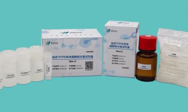技术突破 | FFPE 样本产出高质量单细胞数据的秘籍