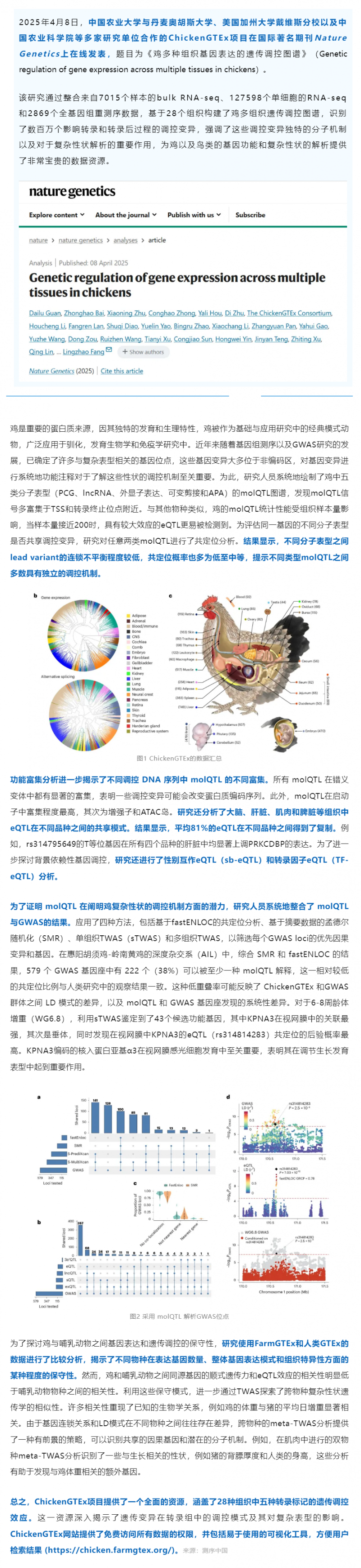 Nat Genet 丨中国农业大学等多国团队绘制鸡多组织遗传调控图谱