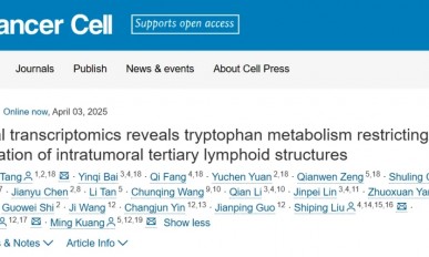 Cancer Cell | 首个肝细胞癌中 TLS 的全景发育图谱！Stereo-seq 助力肝癌研究再获新突破