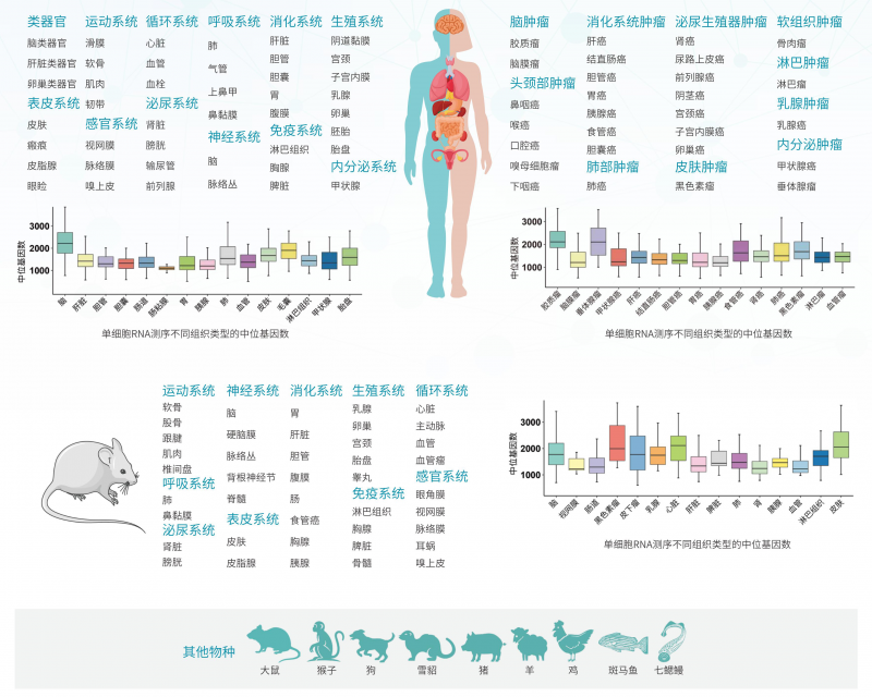 【已↑完】★伯优®单细胞测序组织保存液 - 单页_01(2)
